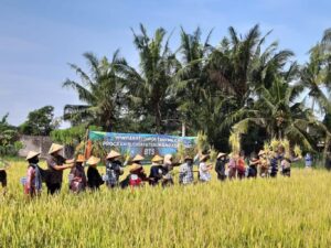 Upara Wiwitan Di Dusun Ngalian