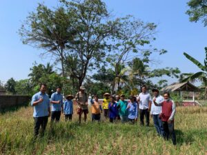 Penanggulangan Serangan Hama Tikus Bersama Kelompok Tani Padukuhan Kalijeruk